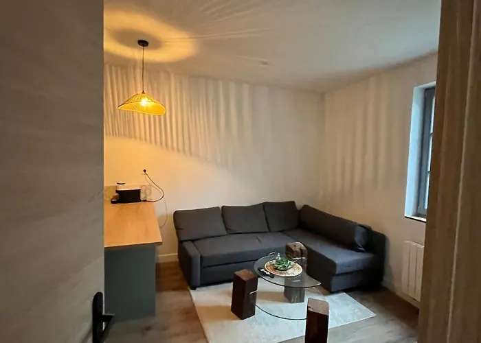 T2 Proche De La Cité Gastronomique Digione