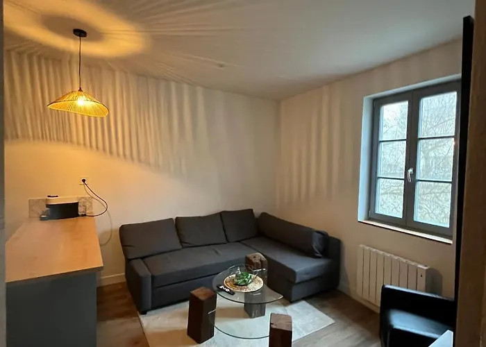 Appartement T2 Proche De La Cité Gastronomique