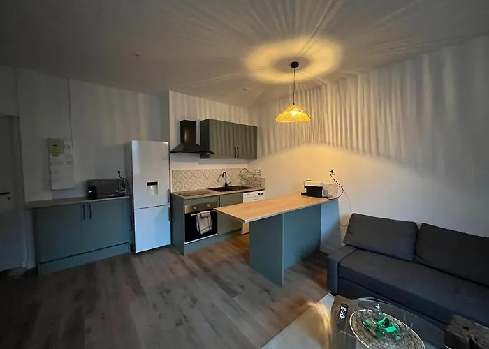 Appartement T2 Proche De La Cité Gastronomique