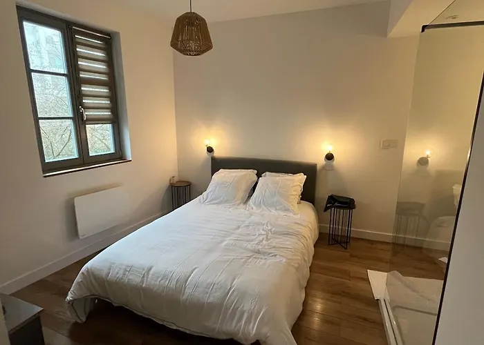 Appartement T2 Proche De La Cité Gastronomique *